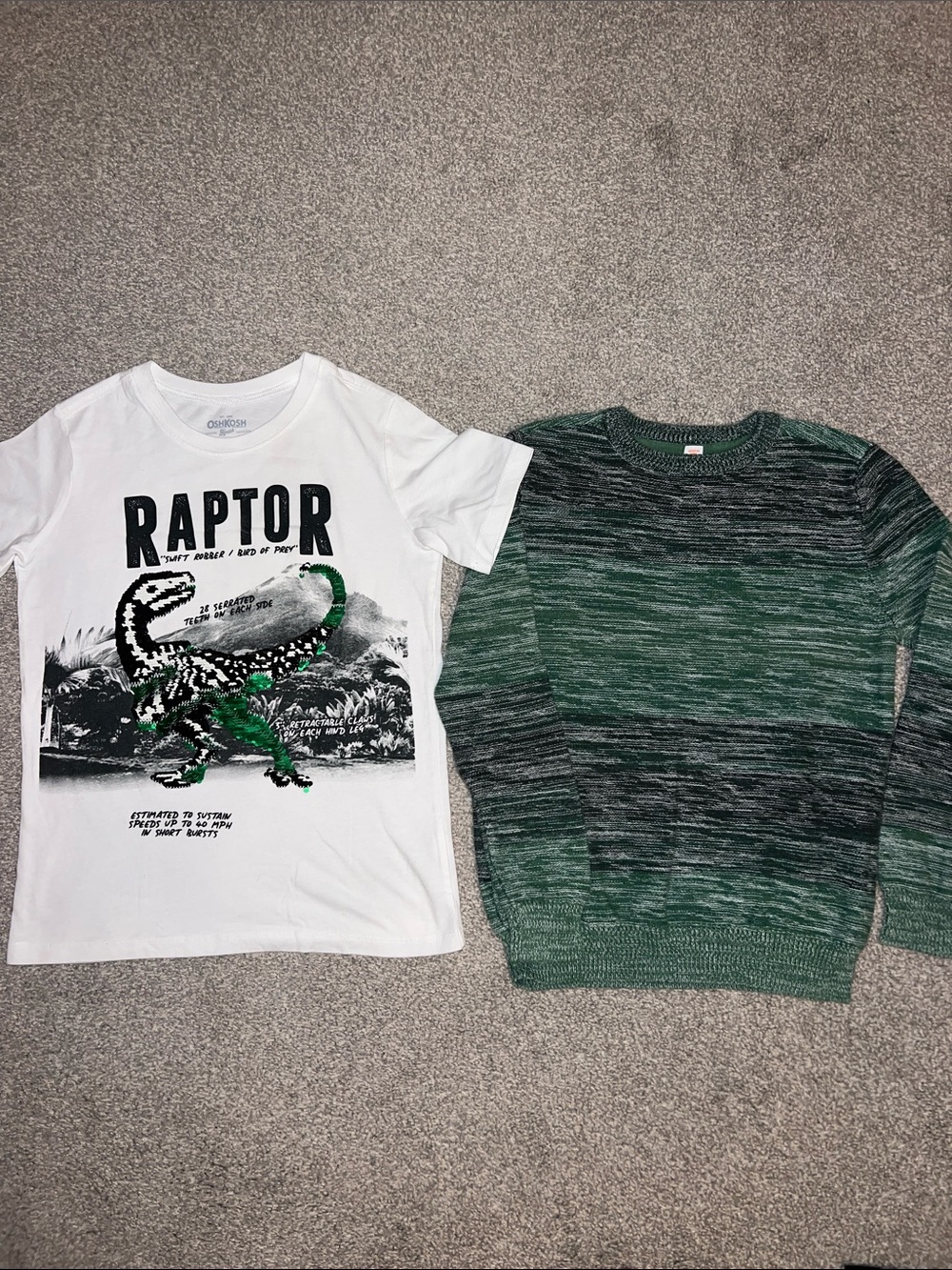 Boys green item bundle - OshKosh Raptor Flip Sequin Tee and Cat & Jack Sweater 🦖
